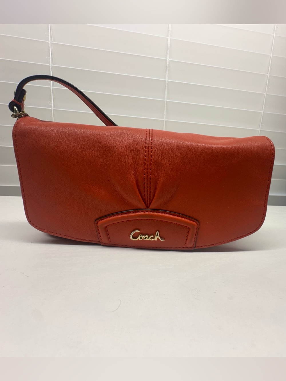 Coach Ashley Pleated Leather Large Flap Wristlet/ Shoulder Bag